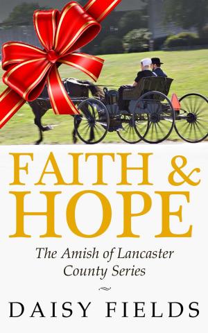 Cover of the book Faith and Hope in Lancaster by Garrett Johnson