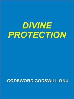 Cover of the book Divine Protection by Lawrence Aderiye