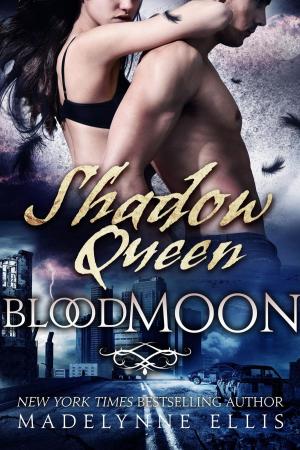 Cover of the book Shadow Queen by Christine Fykes
