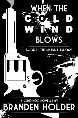 bigCover of the book When the Cold Wind Blows by 