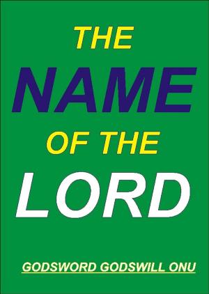 Cover of the book The Name of the Lord by Godsword Godswill Onu