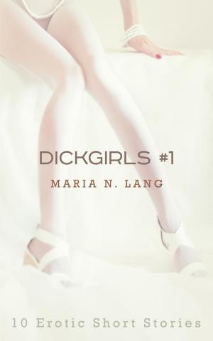 Cover of the book Dickgirls 1: 10 Erotic Short Stories by VR Thode
