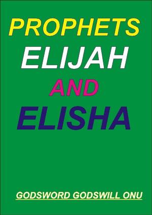 Cover of the book Prophets Elijah and Elisha by Godsword Godswill Onu