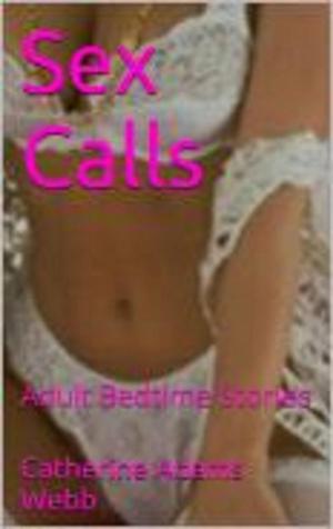 Cover of the book Sex Calls by Simone Evars