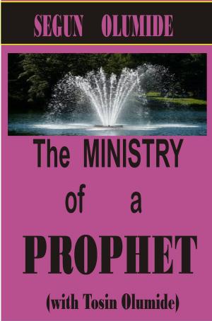 Cover of the book The Ministry of a Prophet by SEGUN OLUMIDE