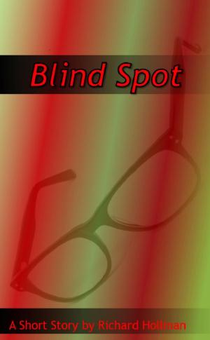 Cover of the book Blind Spot by E. R. Dee