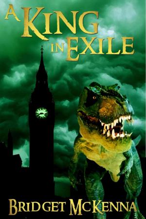 Cover of the book A King in Exile - A Short Story by S.M. Lee