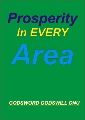 Cover of the book Prosperity In Every Area by Godsword Godswill Onu