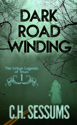 Cover of the book Dark Road Winding by Stephen J. Kieran