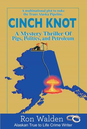 Cover of the book Cinch Knot by Régis Hautière, Grégory Charlet, Olivier Vatine, Patrick Pesnot