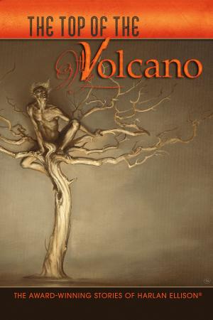 Cover of the book The Top of the Volcano by Robert Silverberg