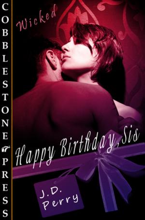 Cover of the book Happy Birthday, Sis by NJ van Vugt