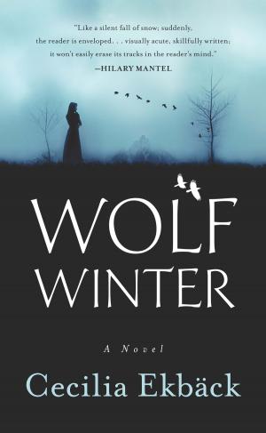 Cover of the book Wolf Winter by William Martin