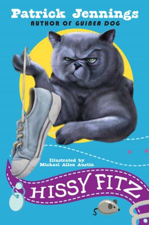 Cover of the book Hissy Fitz by Richard Sebra