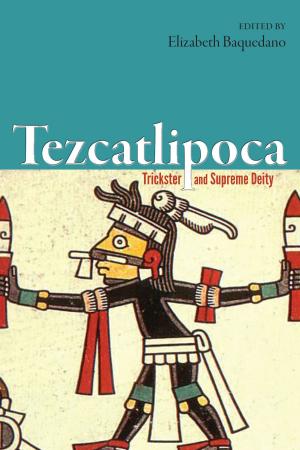 Cover of the book Tezcatlipoca by David Haines