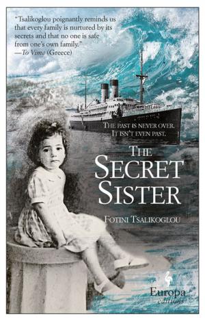Cover of the book The Secret Sister by Donatella Di Pietrantonio