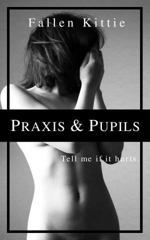 Cover of the book Praxis & Pupils by Sabrina J. Blake