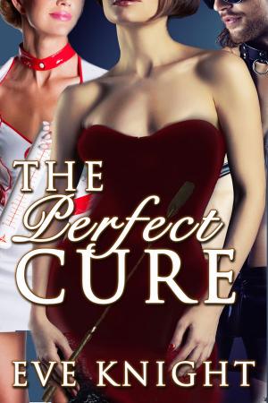 Cover of the book The Perfect Cure by Stephanie Lake