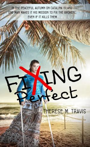 Cover of the book Fixing Perfect by Jewell Tweedt
