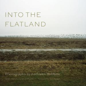 Cover of the book Into the Flatland by Louise Meriwether