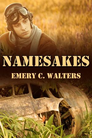 Cover of the book Namesakes by Tamer Lorika