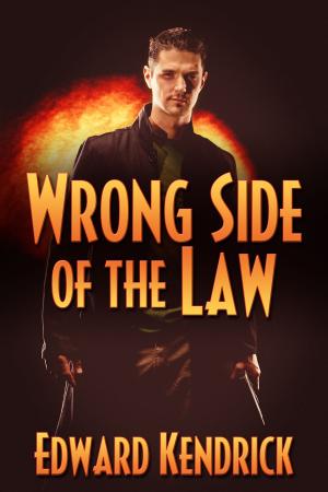 Cover of the book Wrong Side of the Law by L.J. Hamlin