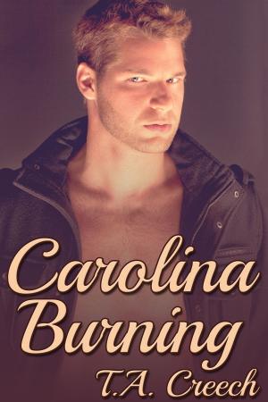 Cover of the book Carolina Burning by Rachel J.Queen