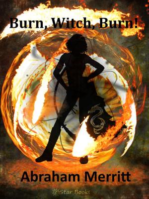 Book cover of Burn, Witch, Burn!