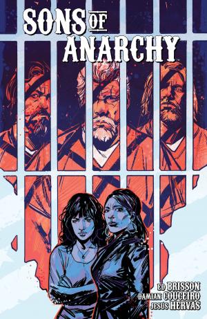 Cover of the book Sons of Anarchy Vol. 2 by John Allison, Maddie Flores, Paul Mayberry, Noelle Stevenson, Eryk Donovan, Becca Tobin, Jake Lawrence, Rosemary Valero-O'Connell, John Kovalic, Jon Chad, Shannon Watters, Ngozi Ukazu, Sina Grace, James Tynion IV, Rian Sygh, Carey Pietsch