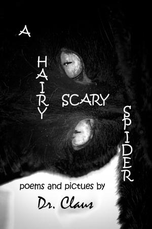 Book cover of A Hairy Scary Spider