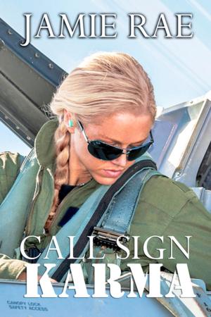 bigCover of the book Call Sign Karma by 