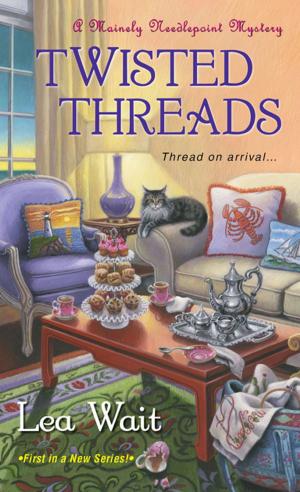 Cover of the book Twisted Threads by DJ Schneider