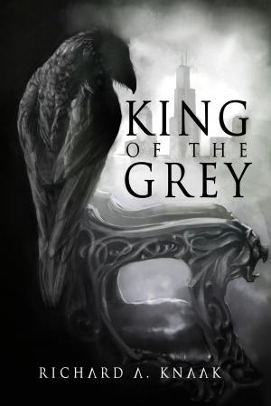 Book cover of King of the Grey (City of Shadows Book 1)