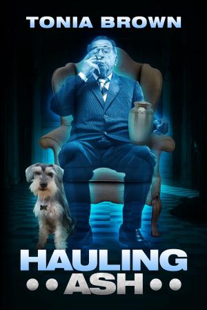 Cover of the book Hauling Ash by Steve Deace
