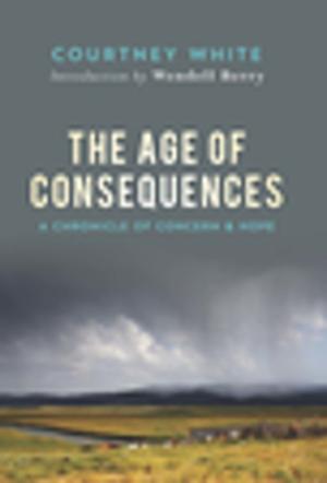 Cover of the book The Age of Consequences by Lynne Sharon Schwartz