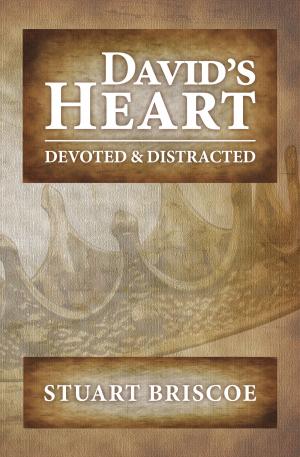 Cover of the book David’s Heart by Susan Sutton