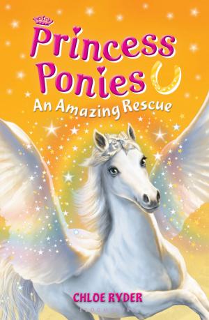 Book cover of Princess Ponies 5: An Amazing Rescue