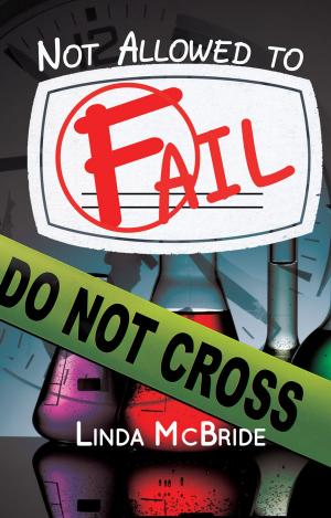 Cover of the book Not Allowed to Fail by Janice Cole Hopkins