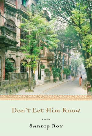 Cover of the book Don't Let Him Know by Leela Devi Panikar