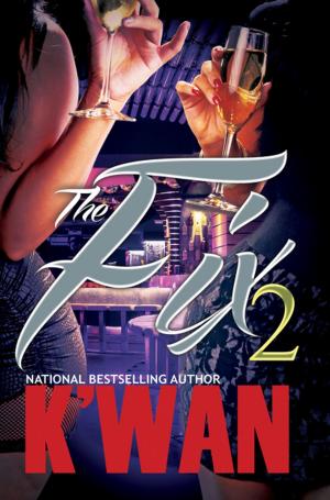 Cover of the book The Fix 2 by Anna J.