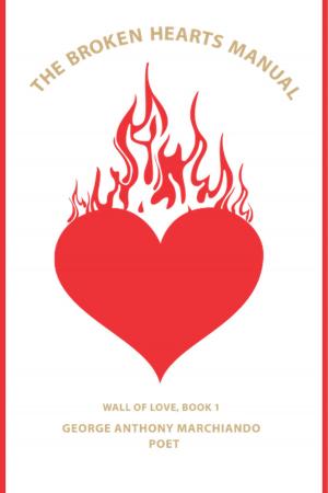 Cover of the book The Broken Hearts Manual by Anasuya Priyadarshini Pradhan
