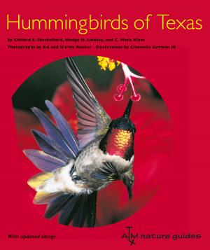 Cover of the book Hummingbirds of Texas by Janet G. Humphrey