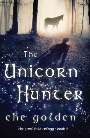 bigCover of the book The Unicorn Hunter by 