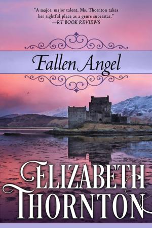 Cover of the book Fallen Angel by David Bagby