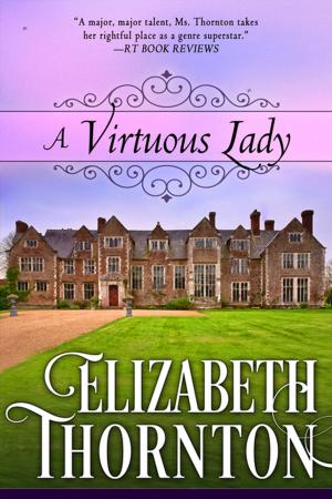 Cover of the book A Virtuous Lady by Elizabeth Thornton