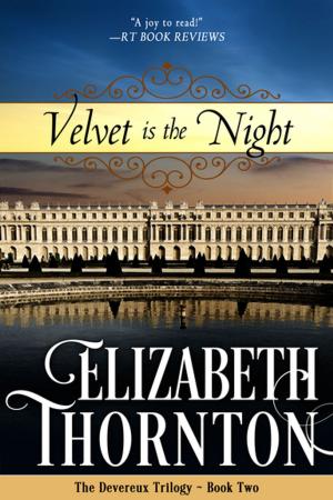 Cover of the book Velvet is the Night by Katherine Kingsley
