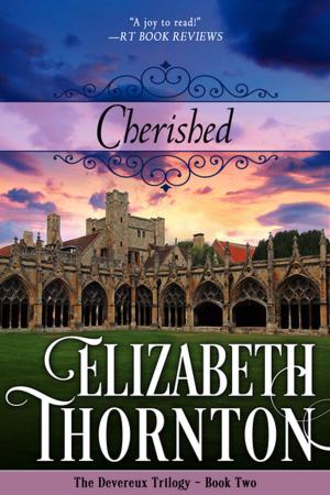 Cover of the book Cherished by Lisa Bingham