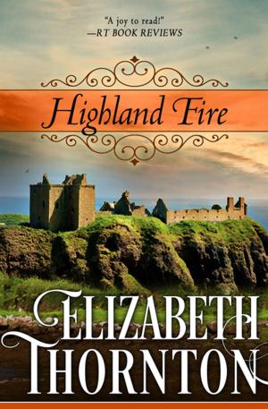 Cover of the book Highland Fire by Geoffrey Huntington