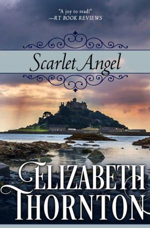 Cover of the book Scarlet Angel by K.D. Keenan