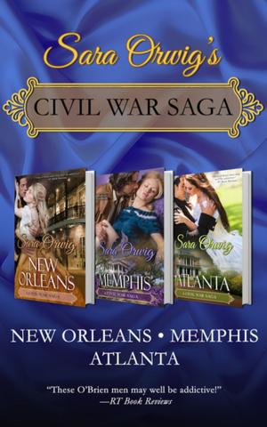 Cover of the book Civil War Saga by Candace Robb